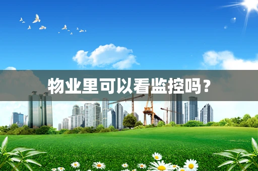 物业里可以看监控吗？