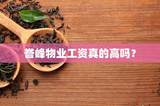 誉峰物业工资真的高吗？