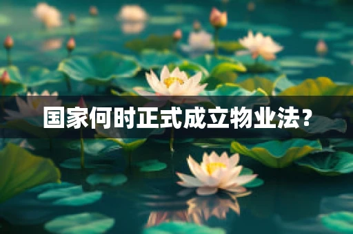 国家何时正式成立物业法？