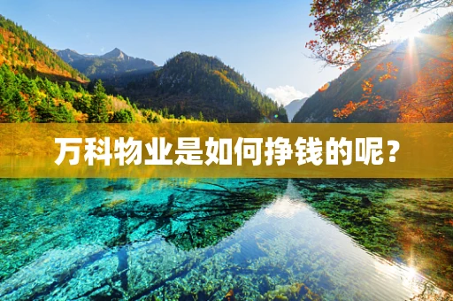 万科物业是如何挣钱的呢？
