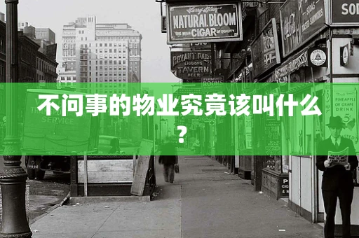 不问事的物业究竟该叫什么？