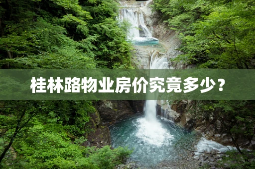 桂林路物业房价究竟多少？