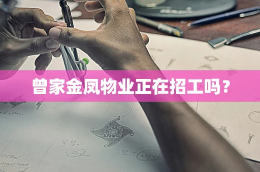 曾家金凤物业正在招工吗？