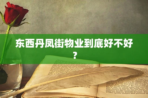 东西丹凤街物业到底好不好？