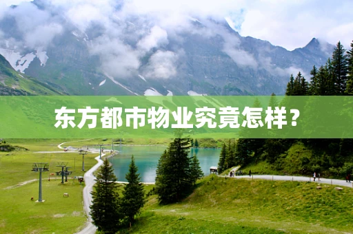 东方都市物业究竟怎样？