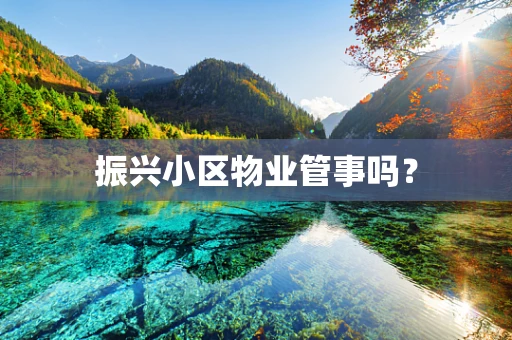 振兴小区物业管事吗？
