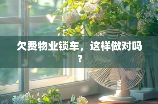 欠费物业锁车，这样做对吗？