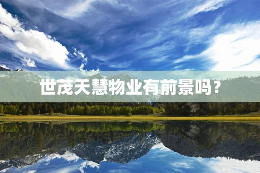 世茂天慧物业有前景吗？