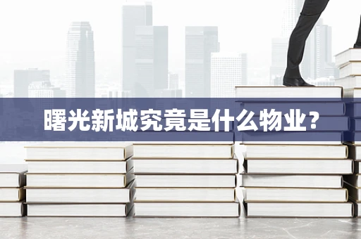 曙光新城究竟是什么物业？