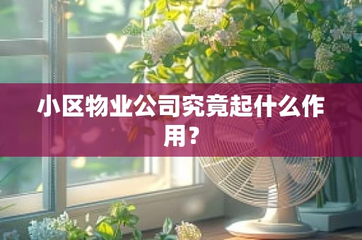 小区物业公司究竟起什么作用？