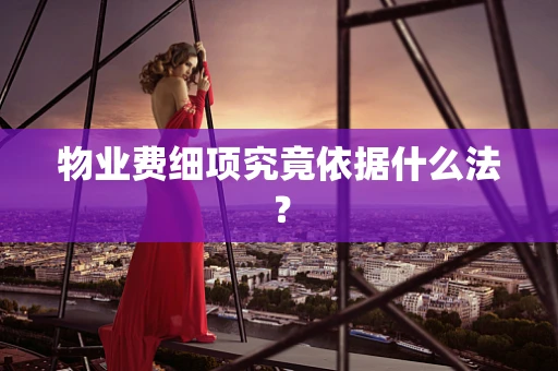 物业费细项究竟依据什么法？