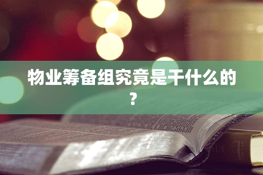 物业筹备组究竟是干什么的？