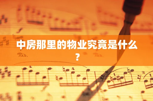 中房那里的物业究竟是什么？