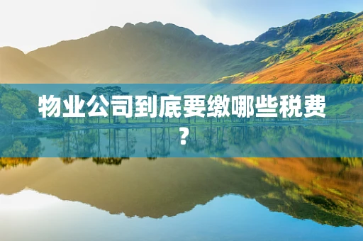 物业公司到底要缴哪些税费？