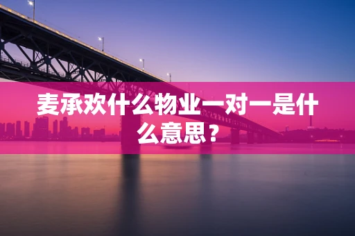 麦承欢什么物业一对一是什么意思？