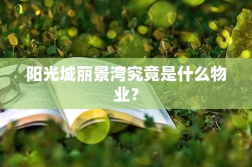阳光城丽景湾究竟是什么物业？