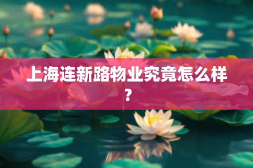 上海连新路物业究竟怎么样？