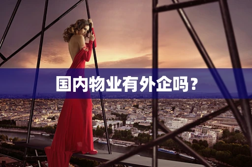 国内物业有外企吗？