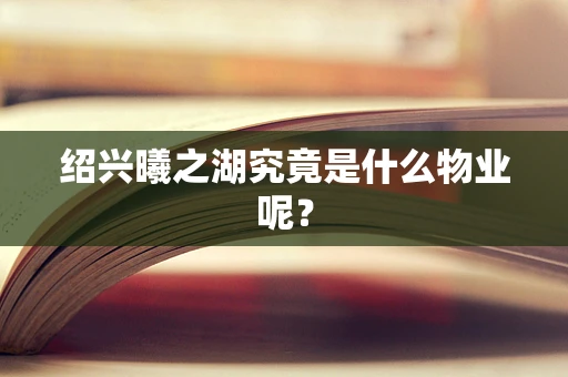 绍兴曦之湖究竟是什么物业呢？