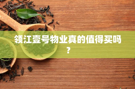 领江壹号物业真的值得买吗？