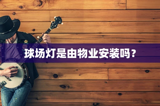 球场灯是由物业安装吗？