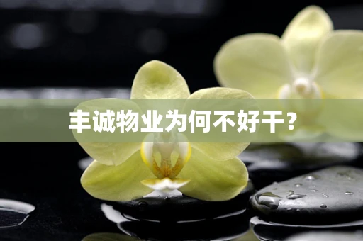 丰诚物业为何不好干？