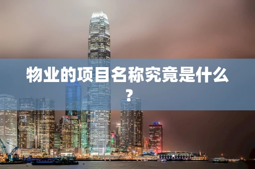 物业的项目名称究竟是什么？