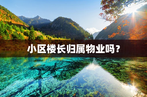 小区楼长归属物业吗？
