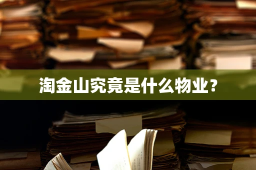 淘金山究竟是什么物业？
