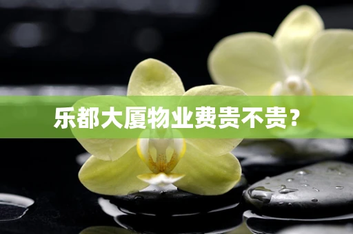 乐都大厦物业费贵不贵？