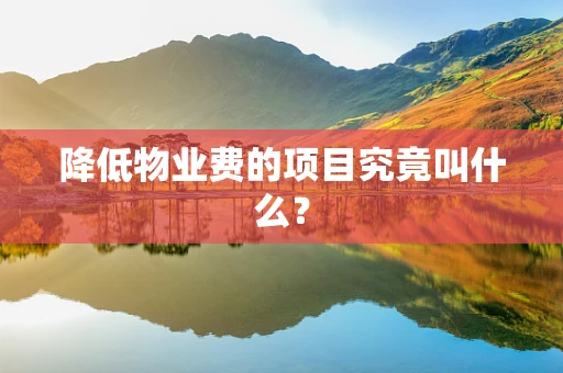 降低物业费的项目究竟叫什么？