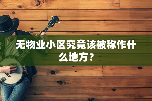 无物业小区究竟该被称作什么地方？