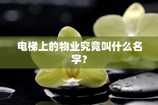 电梯上的物业究竟叫什么名字？