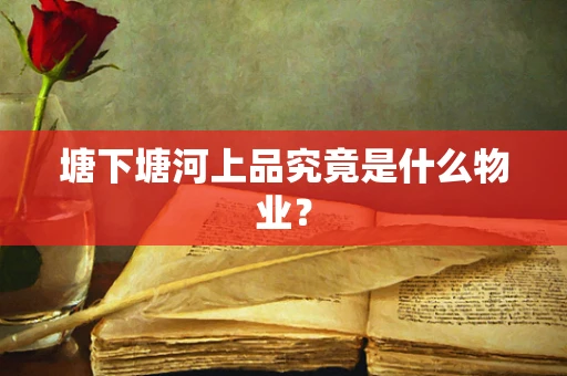 塘下塘河上品究竟是什么物业？