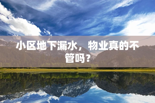 小区地下漏水，物业真的不管吗？