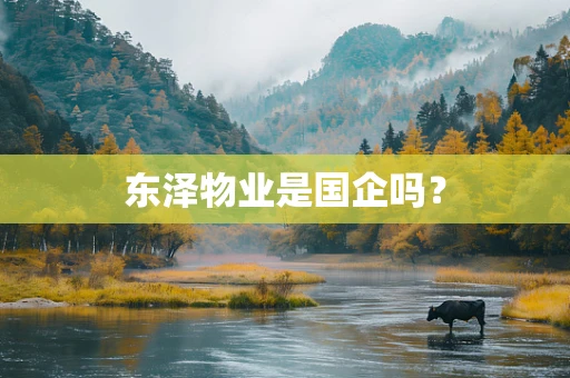 东泽物业是国企吗？