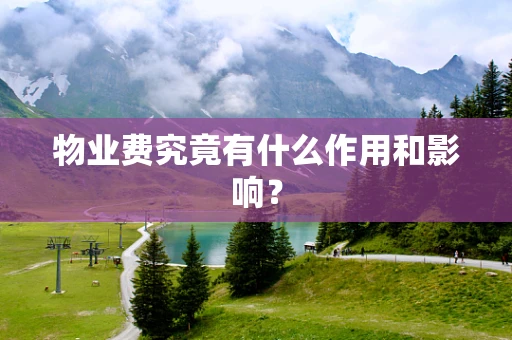 物业费究竟有什么作用和影响？
