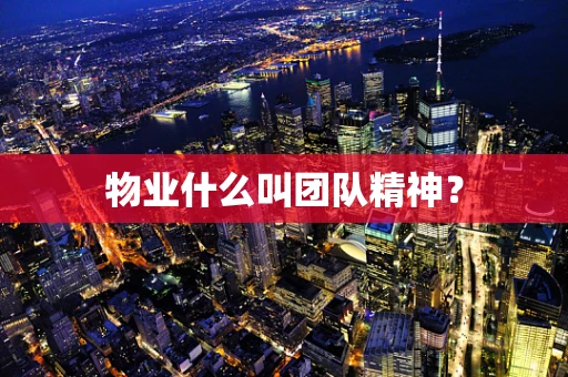 物业什么叫团队精神？