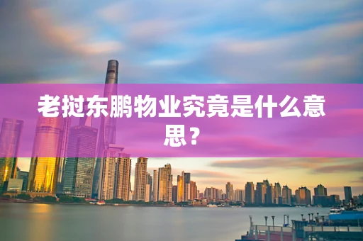 老挝东鹏物业究竟是什么意思？