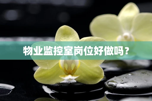 物业监控室岗位好做吗？