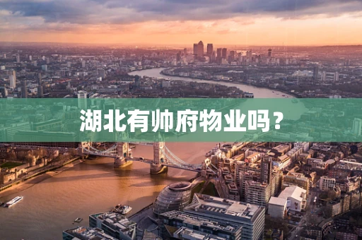 湖北有帅府物业吗？