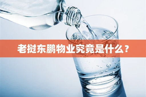 老挝东鹏物业究竟是什么？