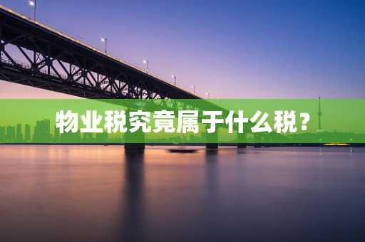 物业税究竟属于什么税？