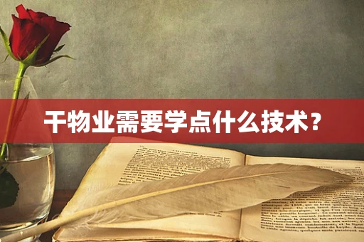干物业需要学点什么技术？