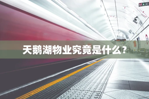 天鹅湖物业究竟是什么？