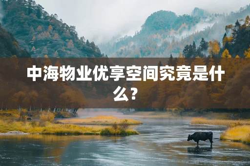 中海物业优享空间究竟是什么？