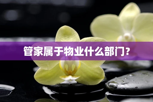 管家属于物业什么部门？