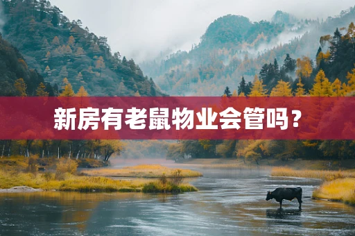 新房有老鼠物业会管吗？