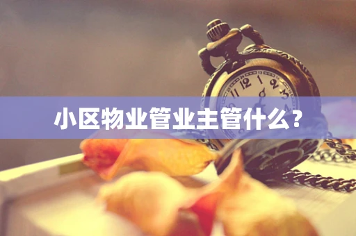 小区物业管业主管什么？