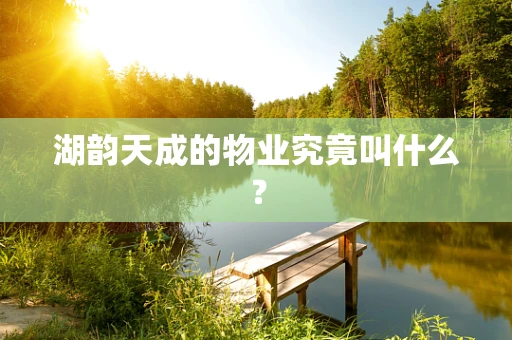 湖韵天成的物业究竟叫什么？